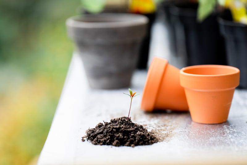 Gardening in limited spaces